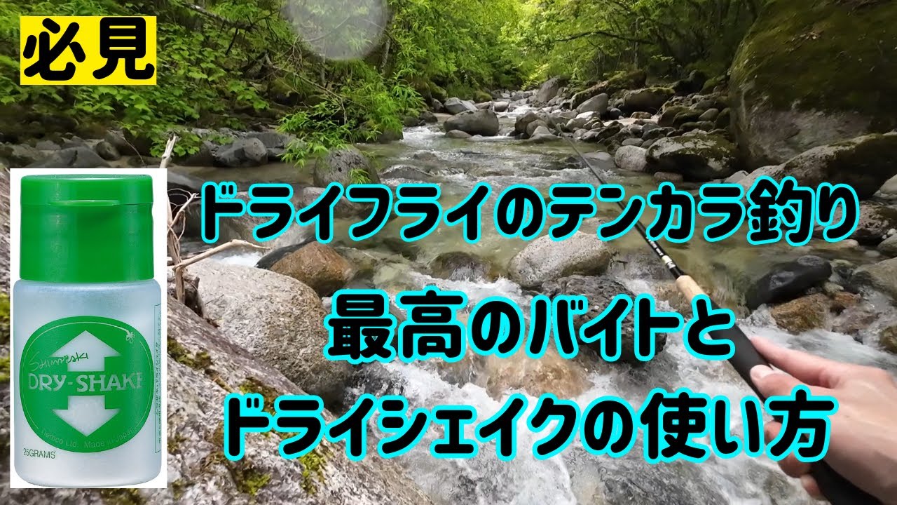 最高のバイトとドライシェイクの使い方【テンカラ釣り】【フライフィッシング】