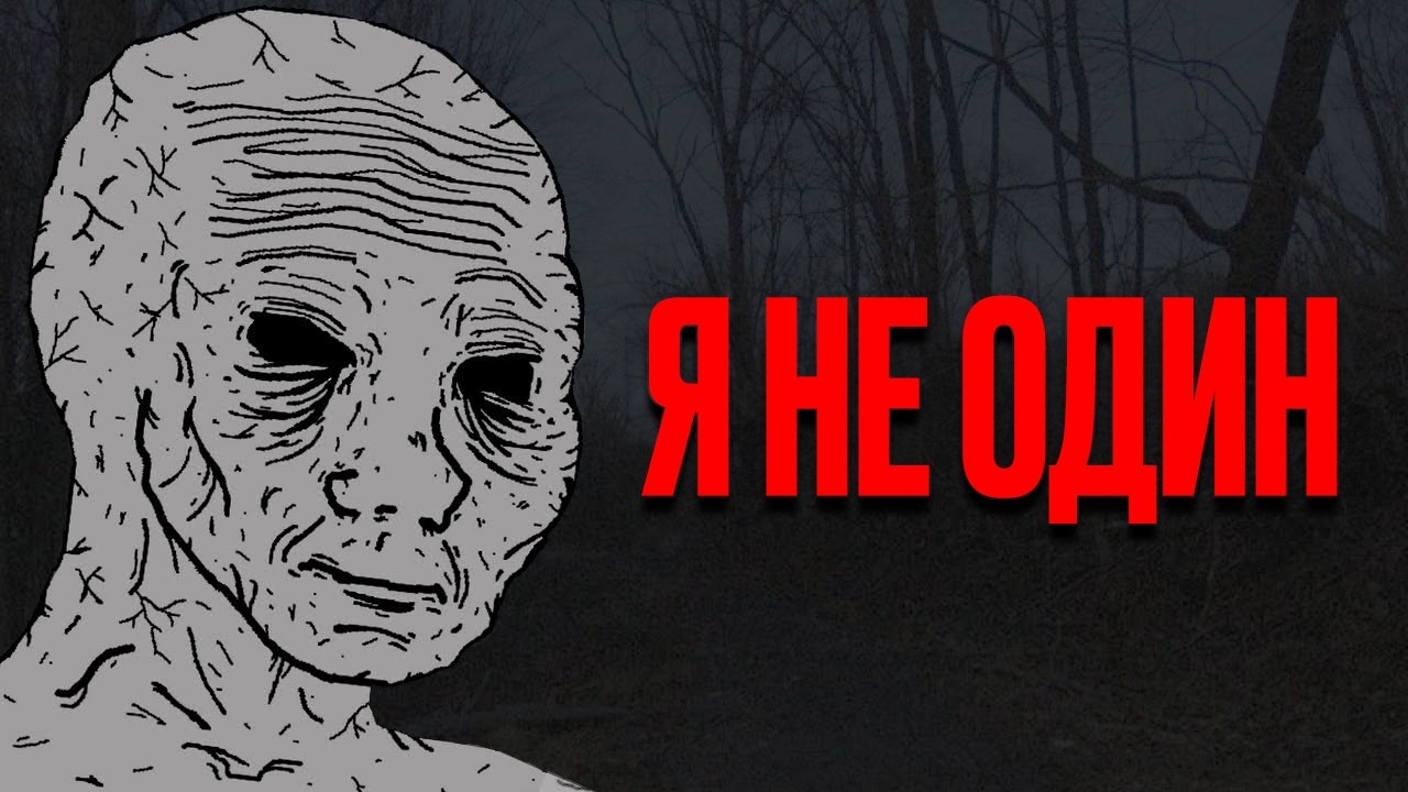 №4 Мрачные истории с Reddit [r/LetsNotMeet]
