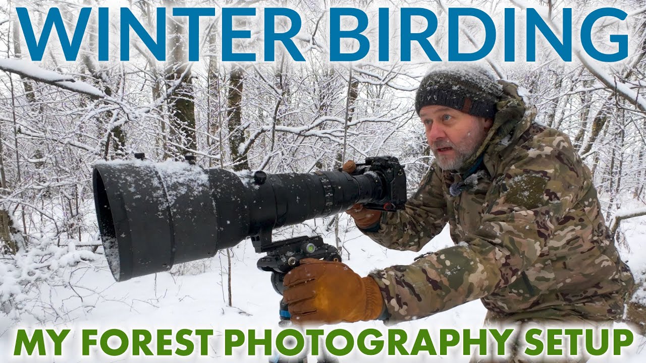 How to set up for winter bird photography – One year later!