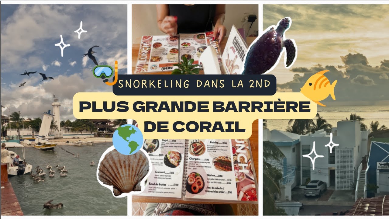 🐠 🇲🇽 JE FAIS DU SNORKELING DANS LA 2ND PLUS GRANDE BARRIÈRE DE CORAIL AU MONDE 🌎 🤿