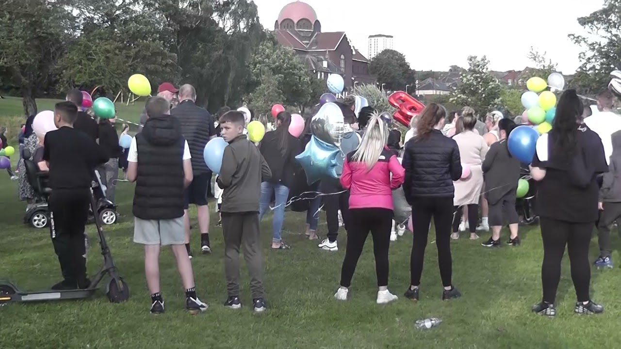 at hodgkin park Benwell