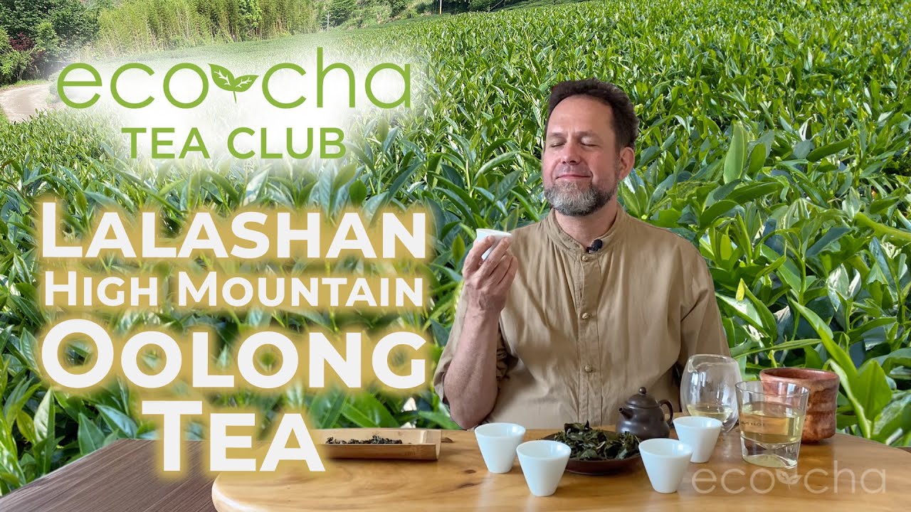 Eco-Cha Tea Club: 103 - Lalashan High Mountain Oolong Tea | Eco-Cha Teas
