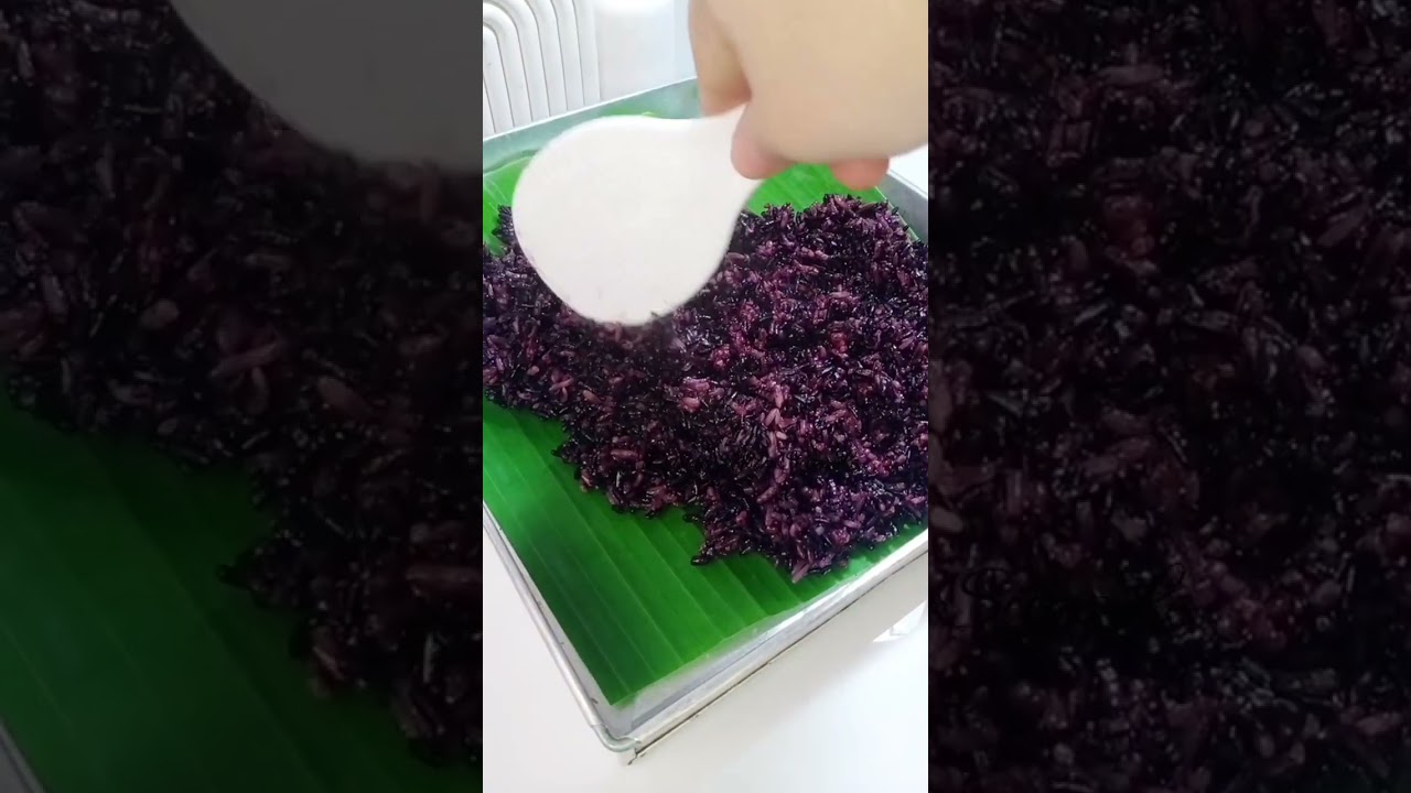 Tape Ketan Hitam anti gagal #kuetradisional #tape #tapeketan