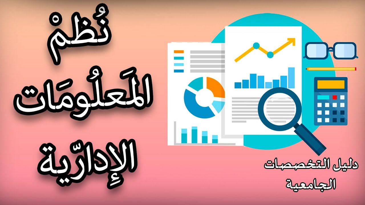 تخصص نظم المعلومات الإدارية | دليلك الشامل