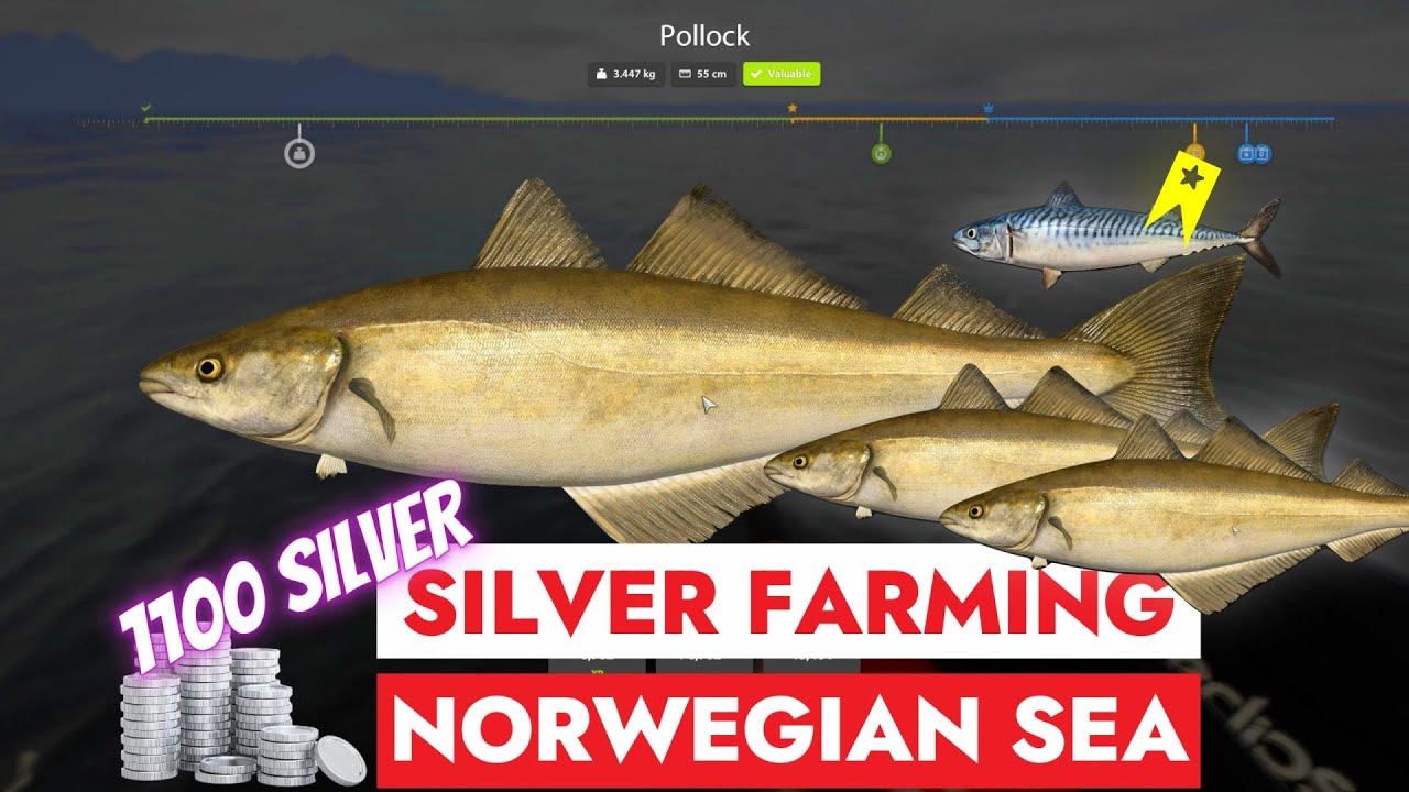 RUSSIAN FISHING 4 - RF4 - SILVER FARMING - NORWEGIAN SEA - +1K SILVER PER HOUR AT POLLOCK SPOT