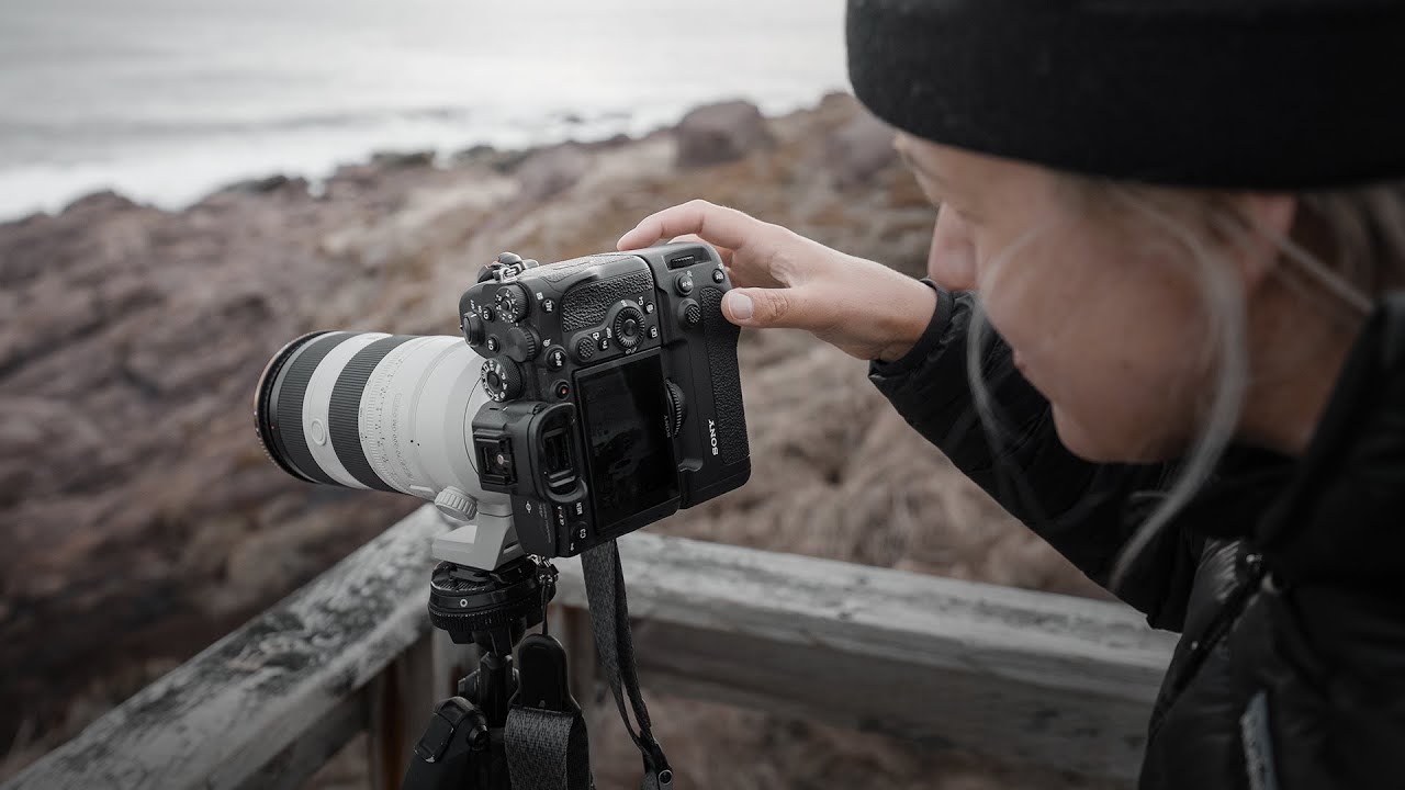 Почему Sony 70-200mm 2.8 II быстро становится моим любимым объективом