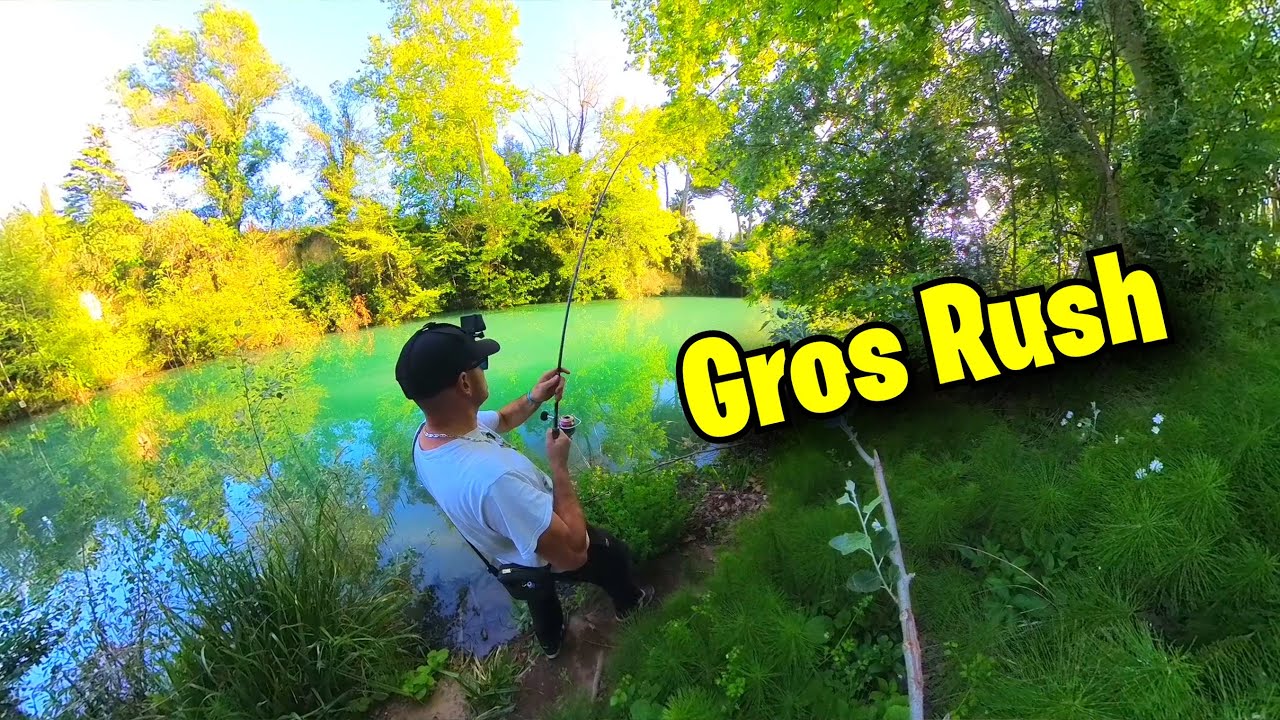 Enorme carpe en Stalking ! Super poisson.