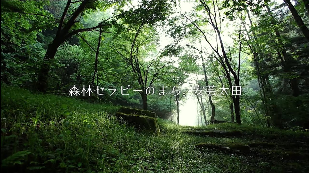 森林セラピーのまち。安芸太田 ～セラピーロードのご紹介～