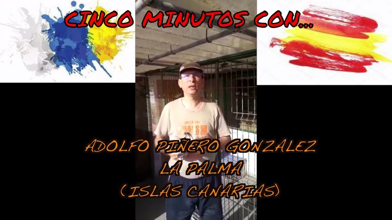 PALOMAS MENSAJERAS. Hoy en 🖐️  minutos con... Adolfo Piñero González ✅(La Palma, Islas Canarias)