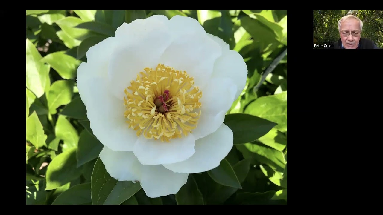Voyages of Great Discoveries Ep 4 - The Beginnings of Flowers