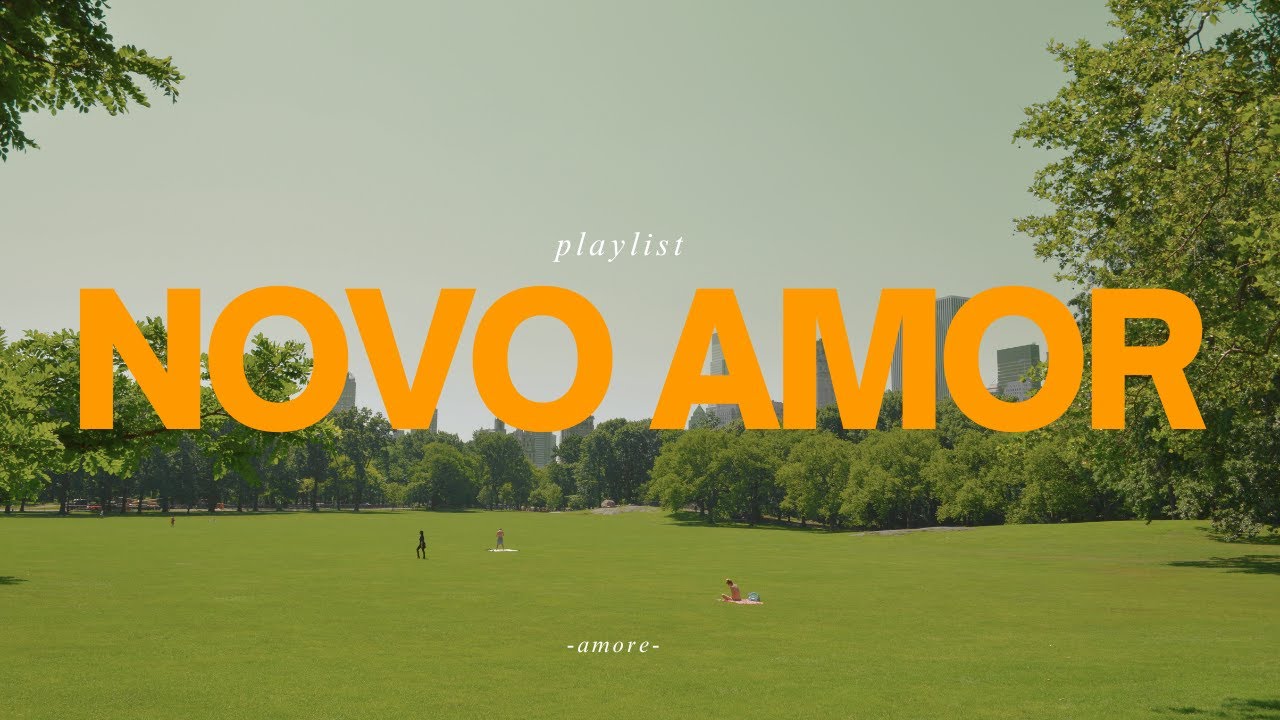 The perfect novo amor playlist (slowed)