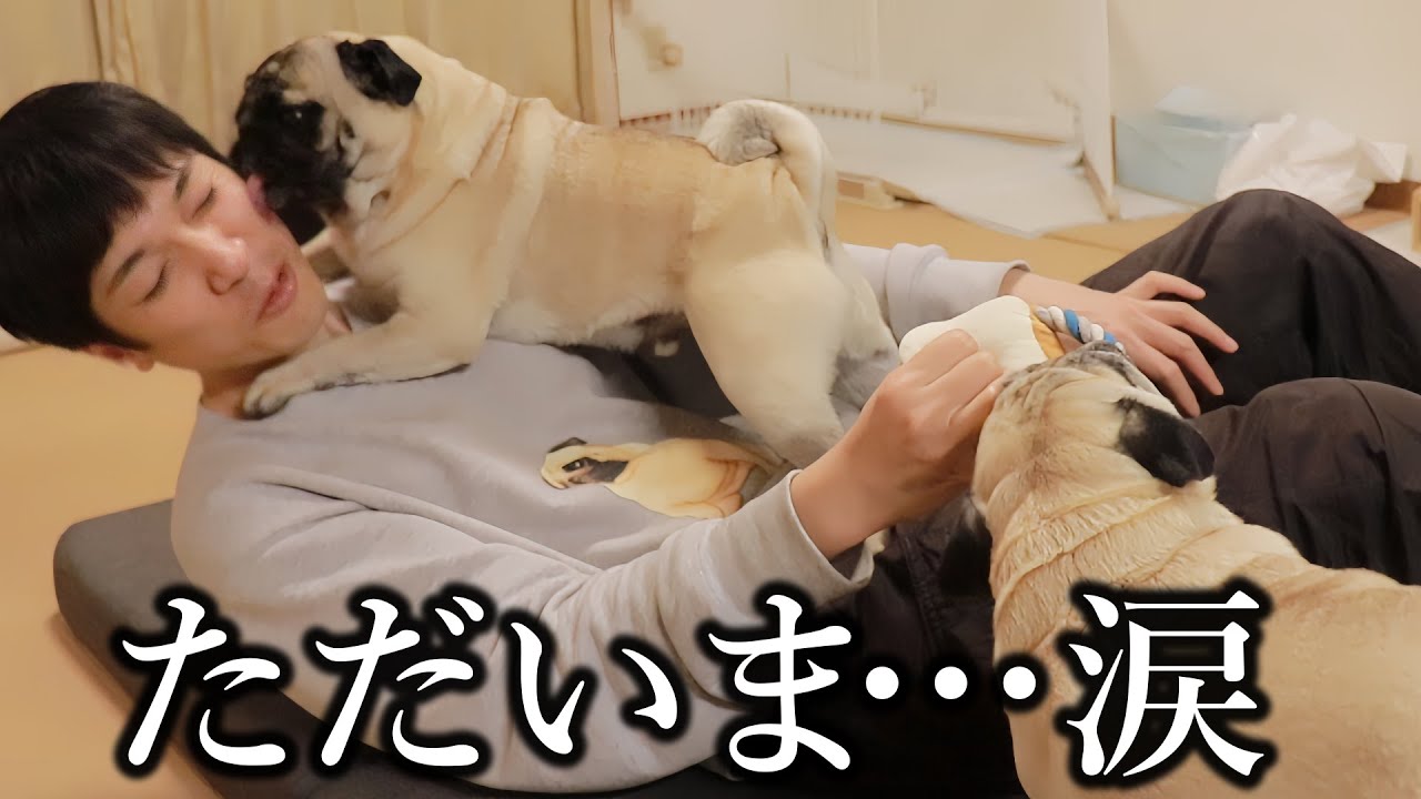 【韓国最終回】もう、離れたくない… 愛犬と再会したらこうなりました