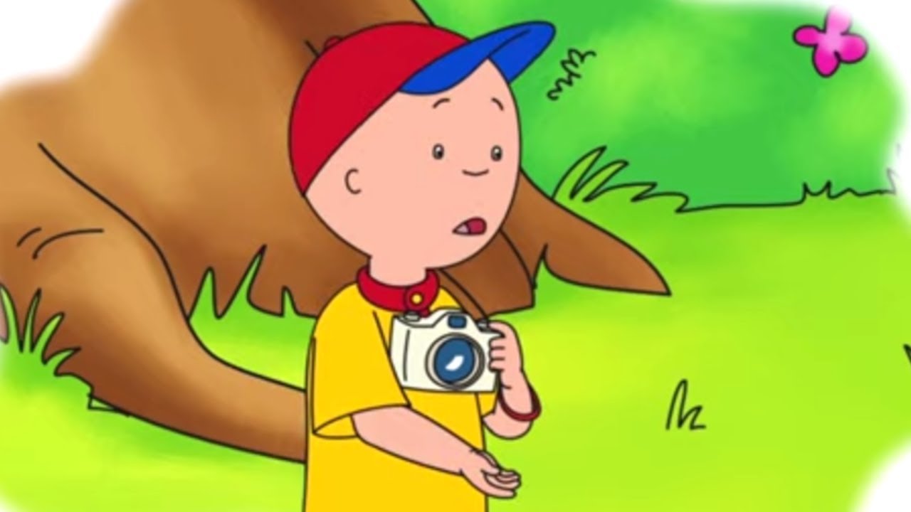 Cartoon Caillou | Fotograaf Caillou | Nieuwe Hele Caillou Afleveringen | Nederlands