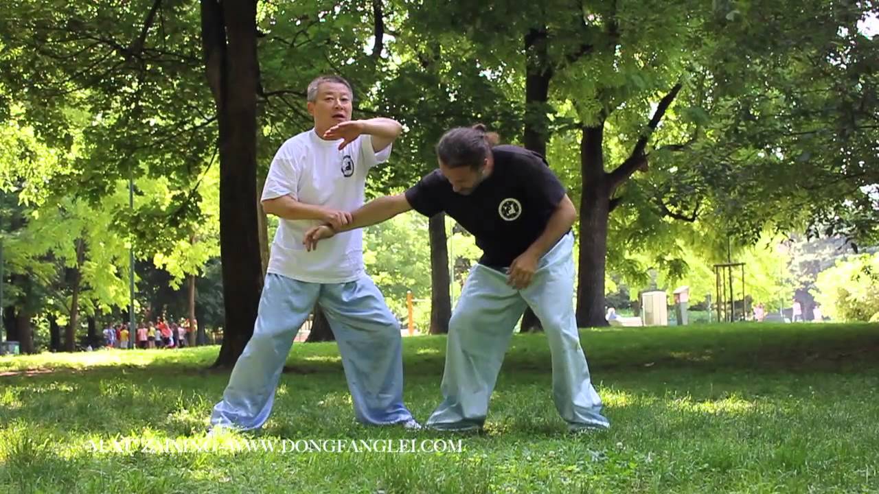 Kung fu fighting techniques ( baguazhang ) M. Xu Zaixing