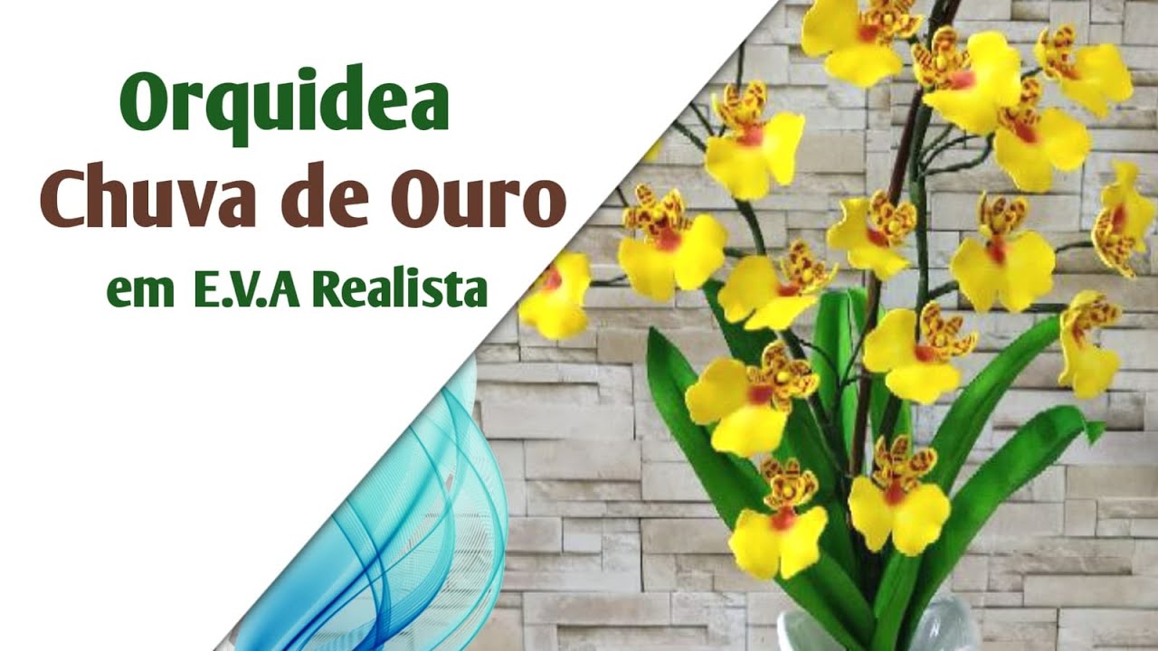 189 - Orquidea Chuva de ouro/Oncindium