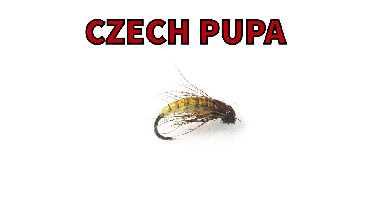 Tying the Czech Pupa