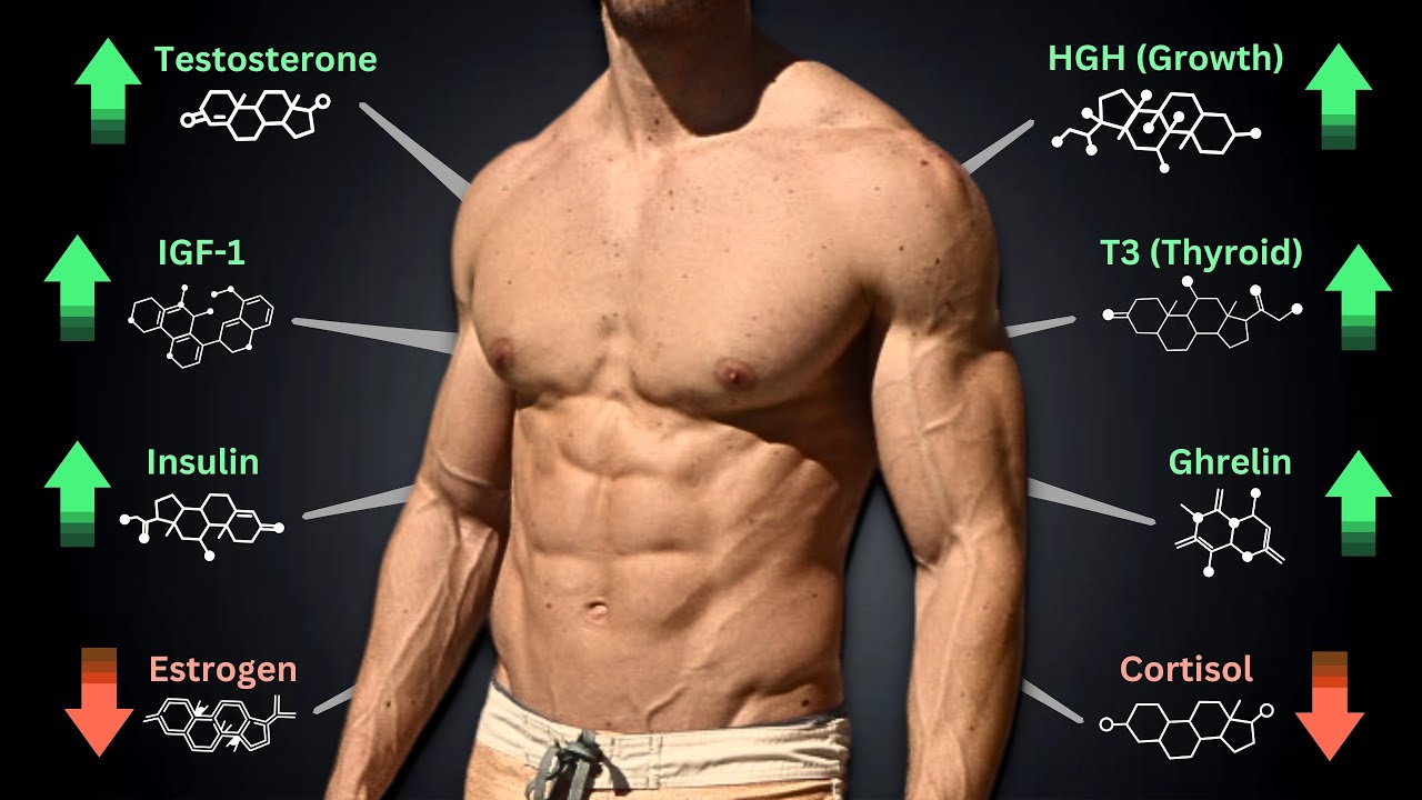 All-Natural Hormone Hacks for Muscle Growth & Fat Loss: T, HGH, Cortisol, IGF-1, Insulin, T3 & More!