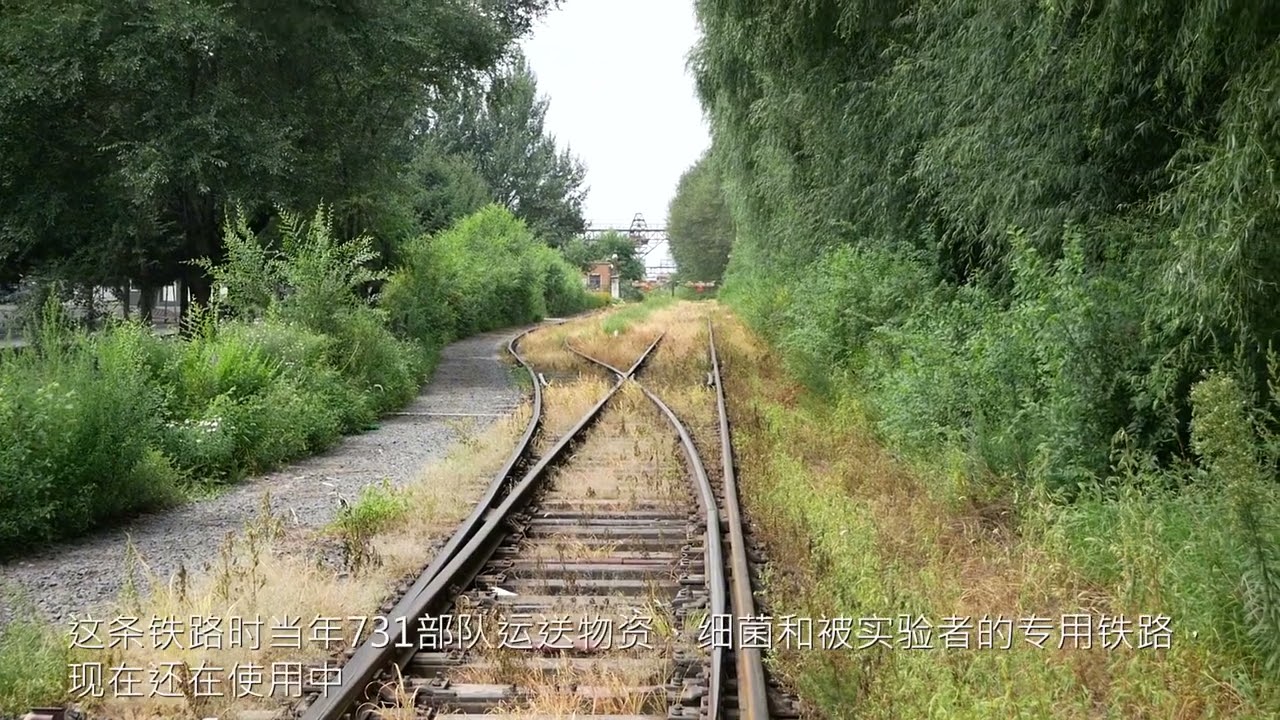 探秘哈尔滨平房区“人类魔窟”，神秘的731部队怎样被发现的？