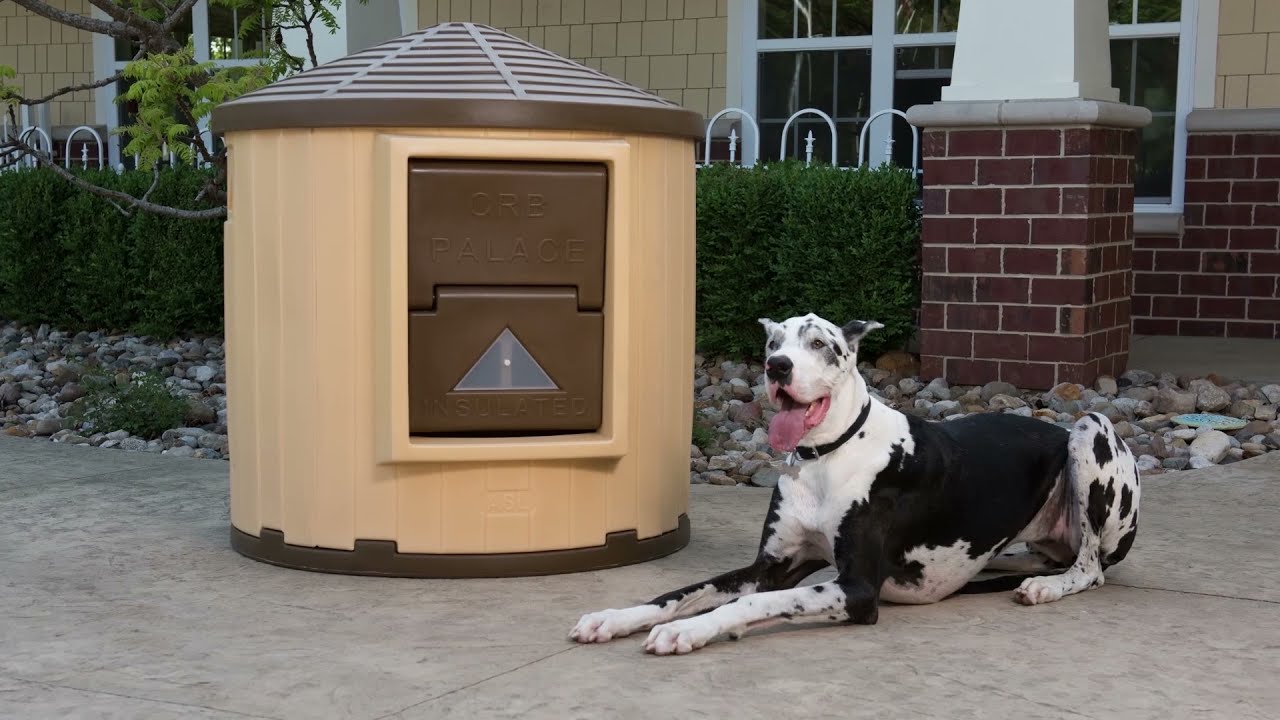 CRB XLARGE DOG HOUSE NEW HEATER 2021 CAPTIONS NOURL