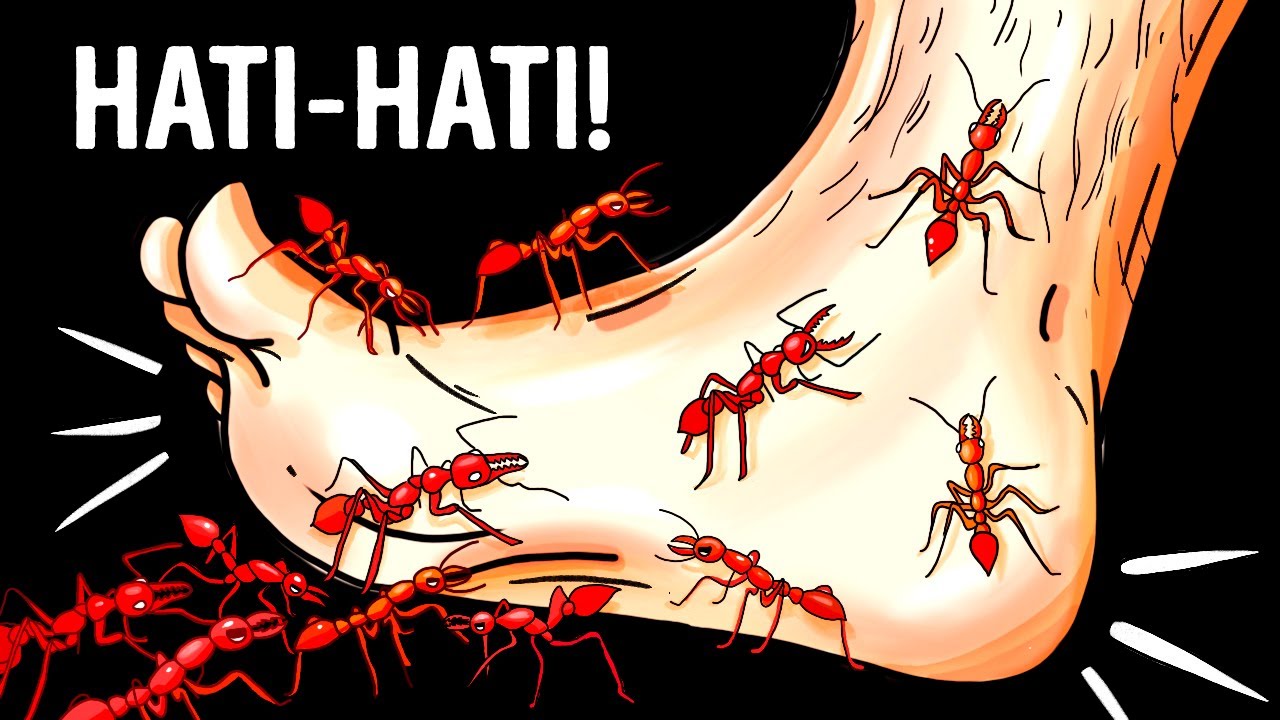 14 Serangga Berbahaya Ini Sedang Merayap di Bawah Kakimu