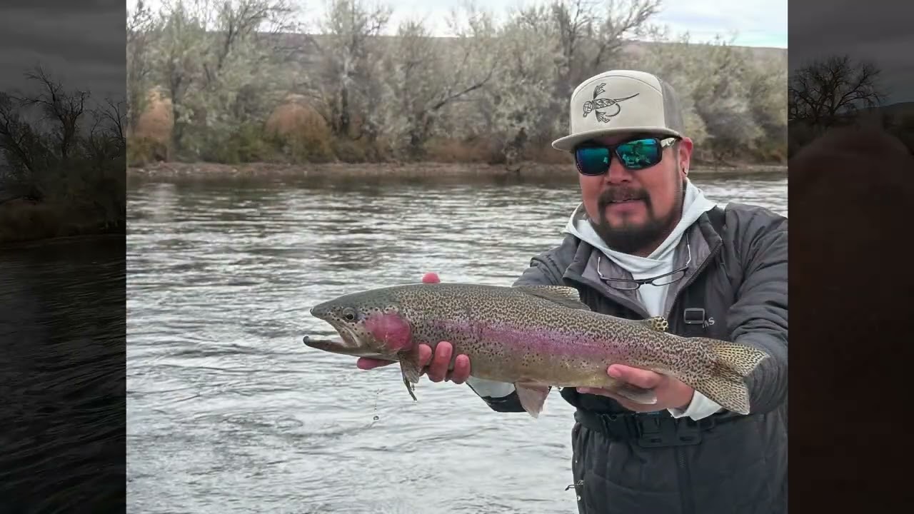 BIG TROUT ON THE BIGHORN RIVER - Fly Fishing INDIGENOUS WATERS Wind River