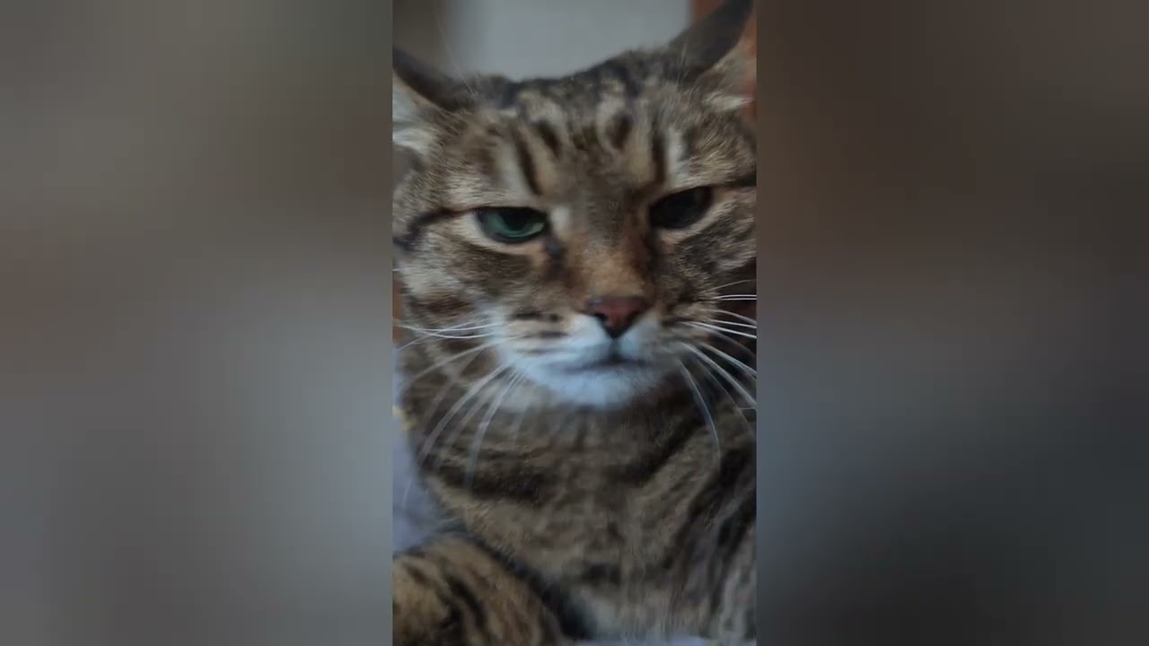 Сойти с ума 🤔🙀😉🤣