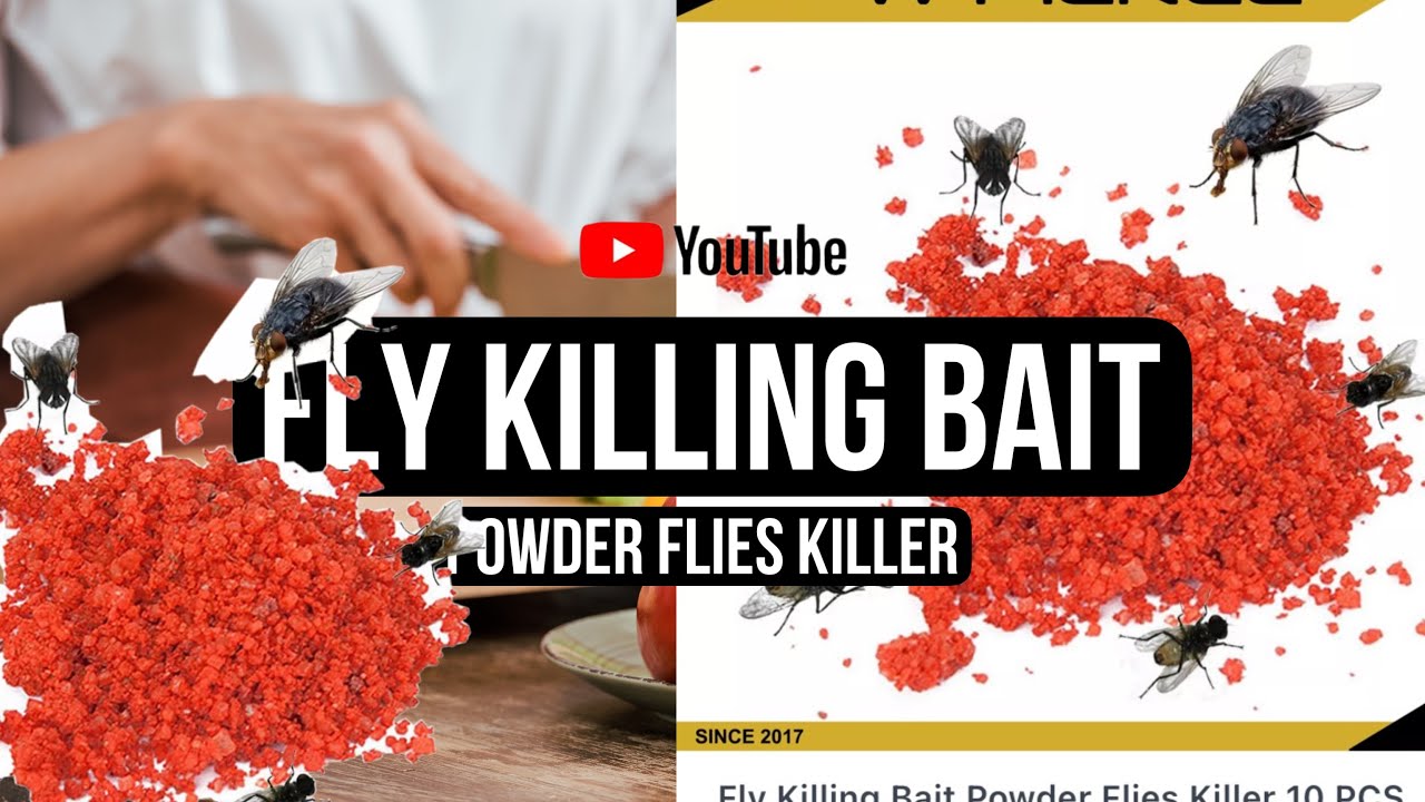 FLY KILLING BAIT REVIEW | TIMELAPSE