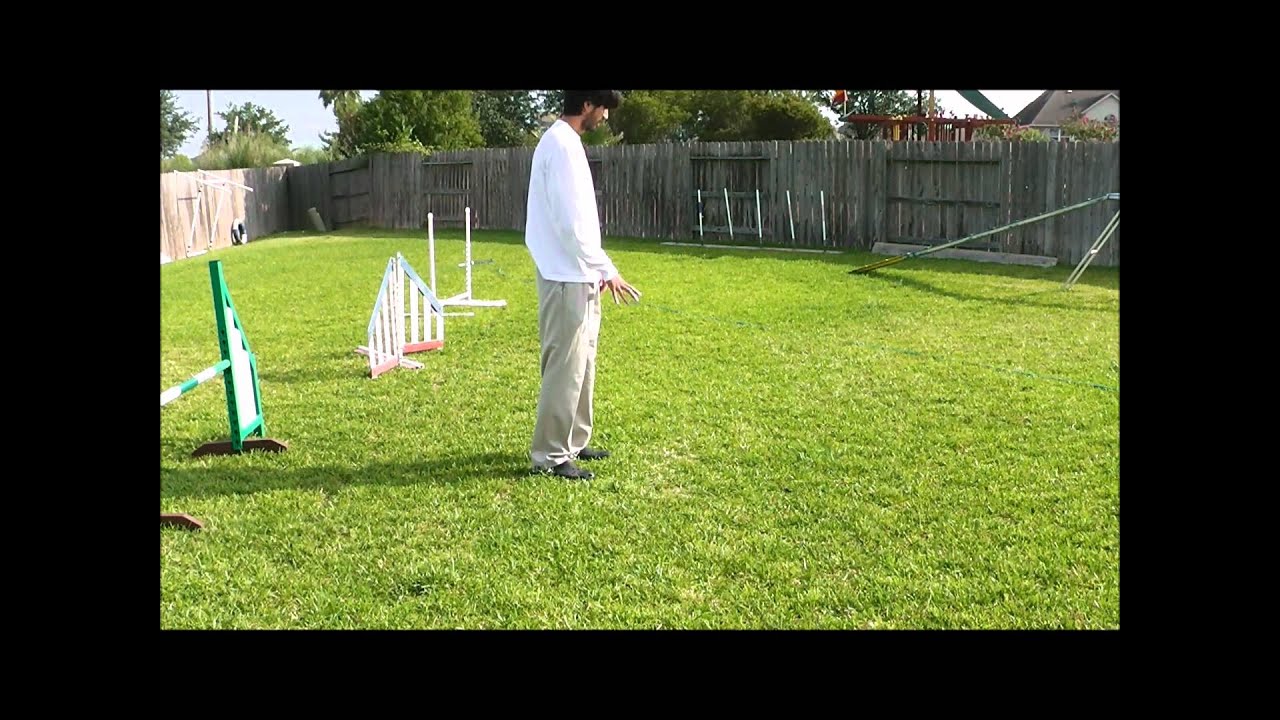 Goal Setting for Dog Agility