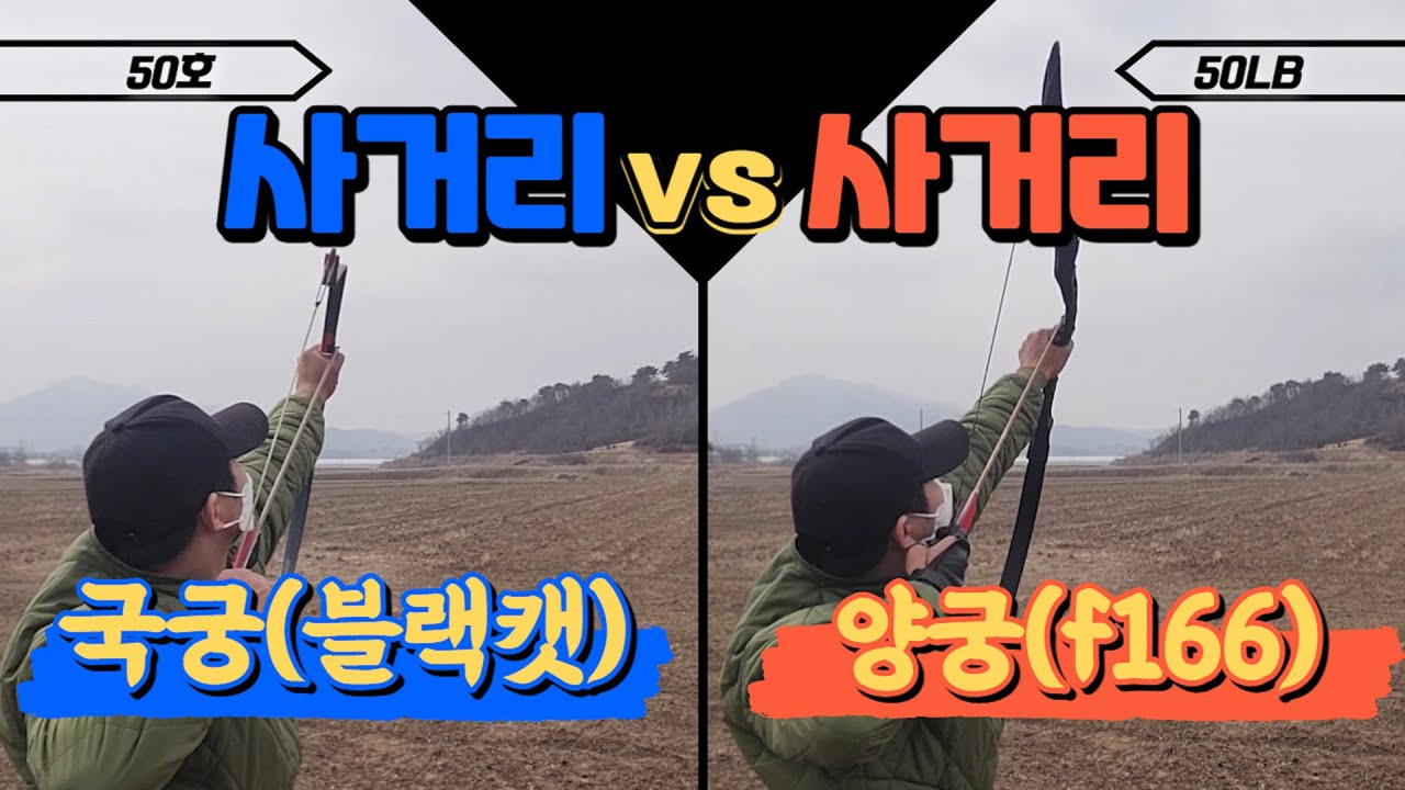 개량국궁VS양궁 사거리 비교