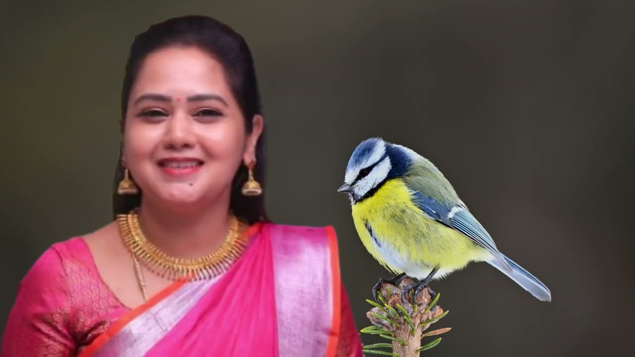 Chinna Marumagal Serial Upcoming Episode Review February 12th | 2026