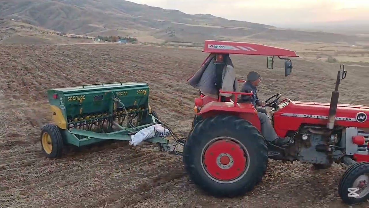 Massey Ferguson 165 tohum ekme 
