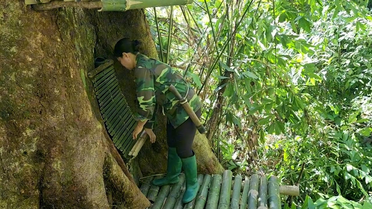 Primitive Survival: Woman Lives Inside a Giant Tree and Makes Bamboo Traps