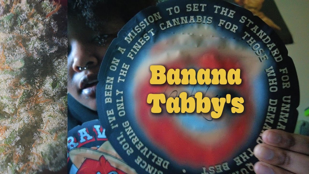 Rare Strain Reveal!?...Trying Banana Tabby's (TBF Review)