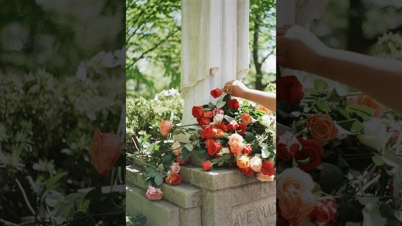 Square Root Functions (6.3)