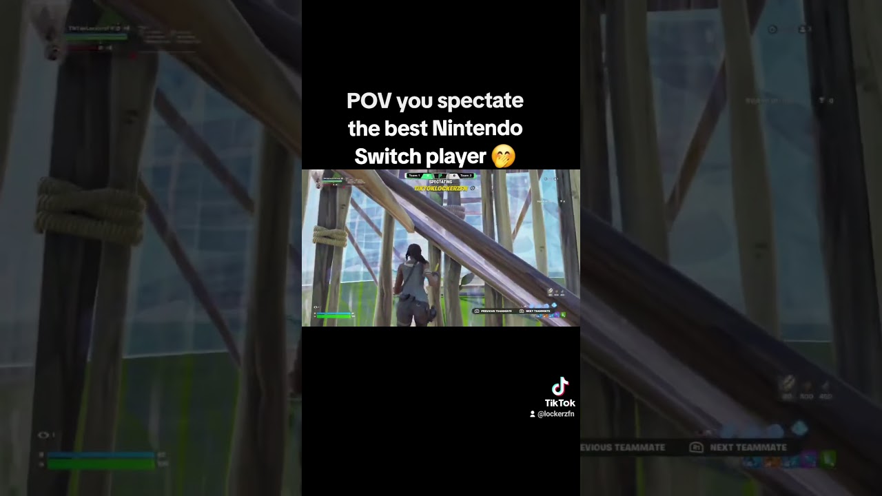 the best Nintendo switch player #fortnite #nintendoswitch #30fps #lockerzfn