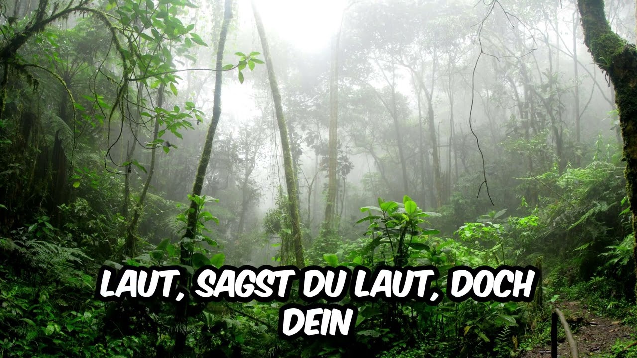 Ich schaue das nicht!