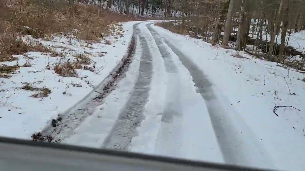 Driveway 8 Feb 2026