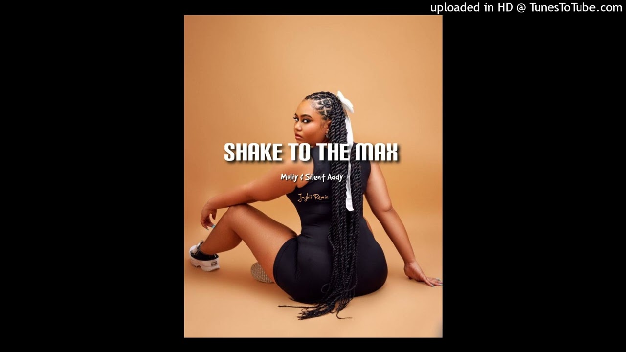 Moliy & Silent Addy - Shake To The Max [Jaybii Remix]vu 2k25