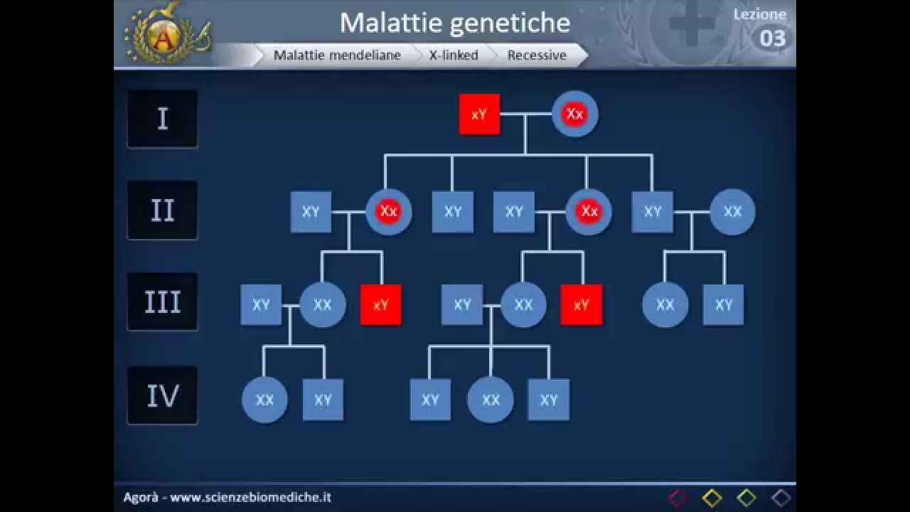 Genetica 03 - Malattie genetiche e genetica di popolazione