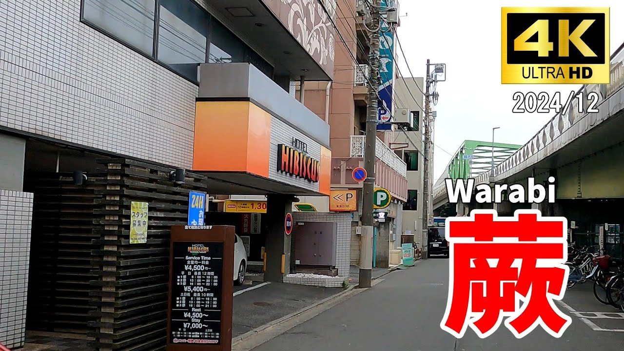 【4K Japan】2024.12  蕨駅周辺を散歩『Walk around Warabi Station』 #蕨 #クルド人 #ラブホ