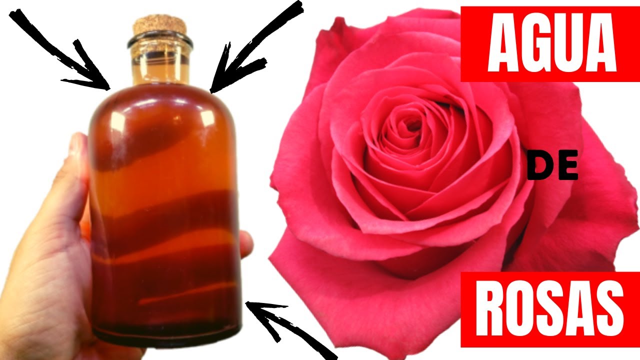 🌹 COMO HACER AGUA DE ROSAS EN CASA. 🌹 MUY FÁCIL Y RÁPIDO 🌹