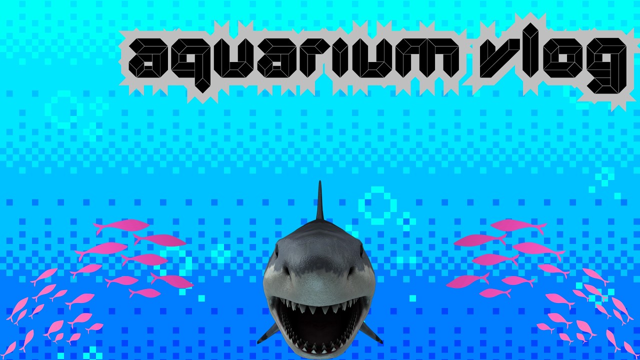 aquarium