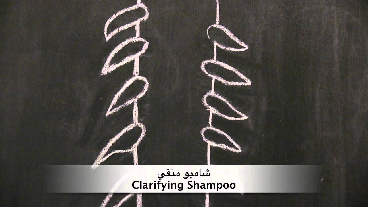 طريقة العناية بالشعر التالف (المسامية العالية)