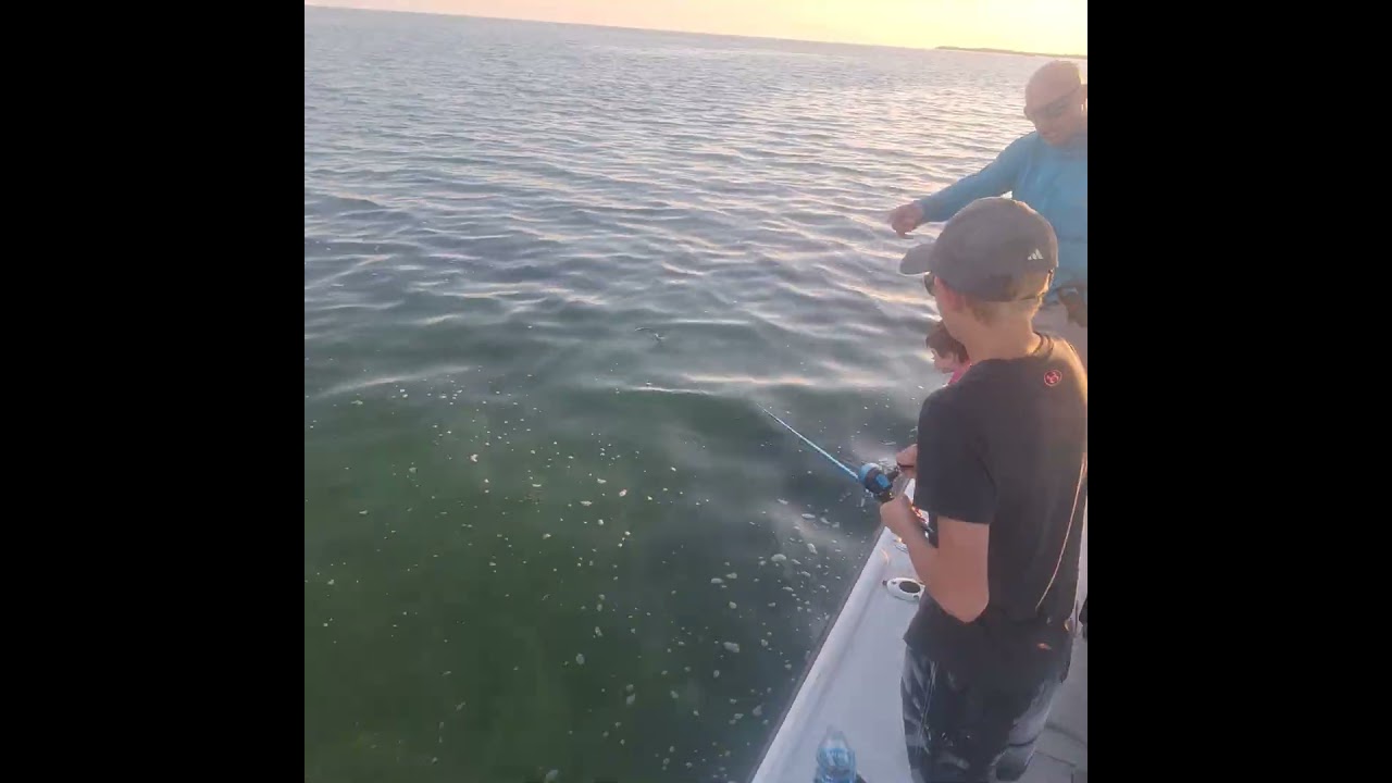 Johnny Danger Tarpon fishing. push button reel. 