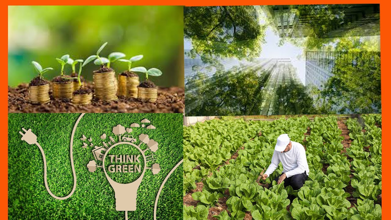 KORERA AMAFARANGA AVUYE MURI GREEN BUSINESS!!! TANGIRA WIGE UBURYO BWIZA BWAKWINJIRIZA AGATUBUTSE