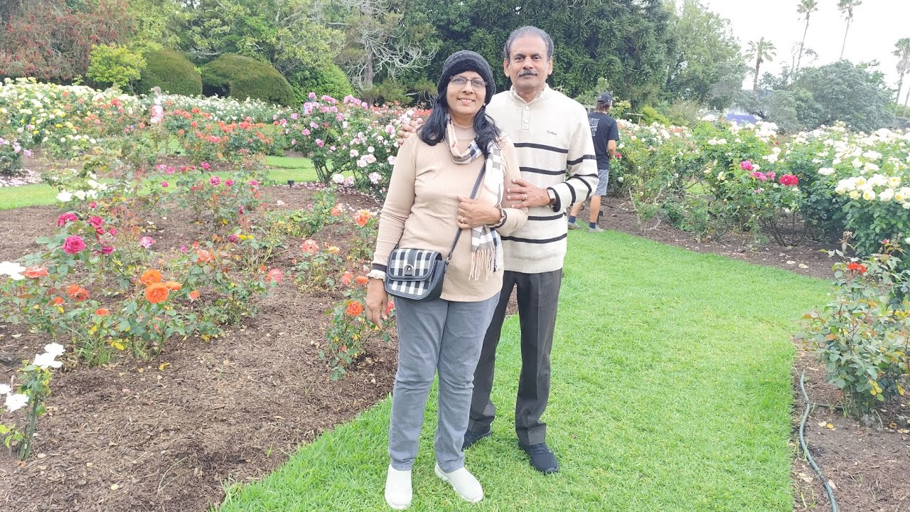 @sheebasjournal #beautiful #rose #garden #newzealand 