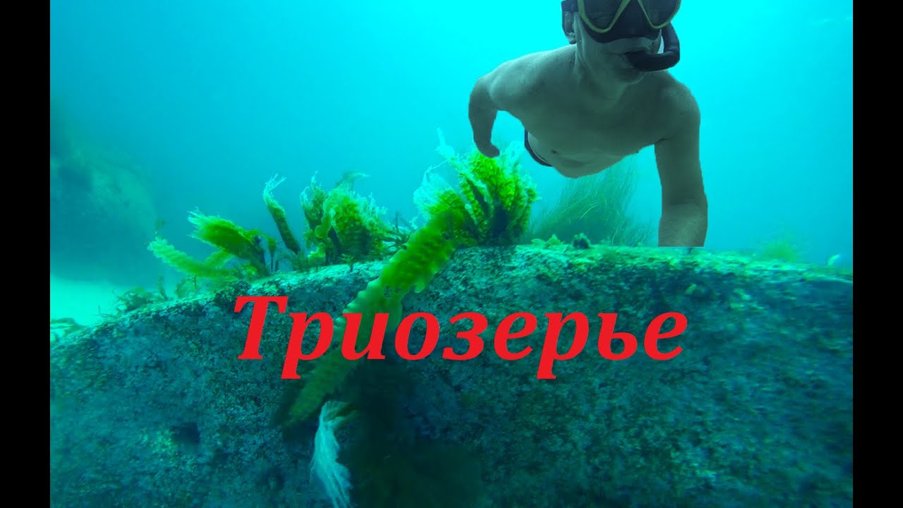 Отдых в Триозерье август 2021