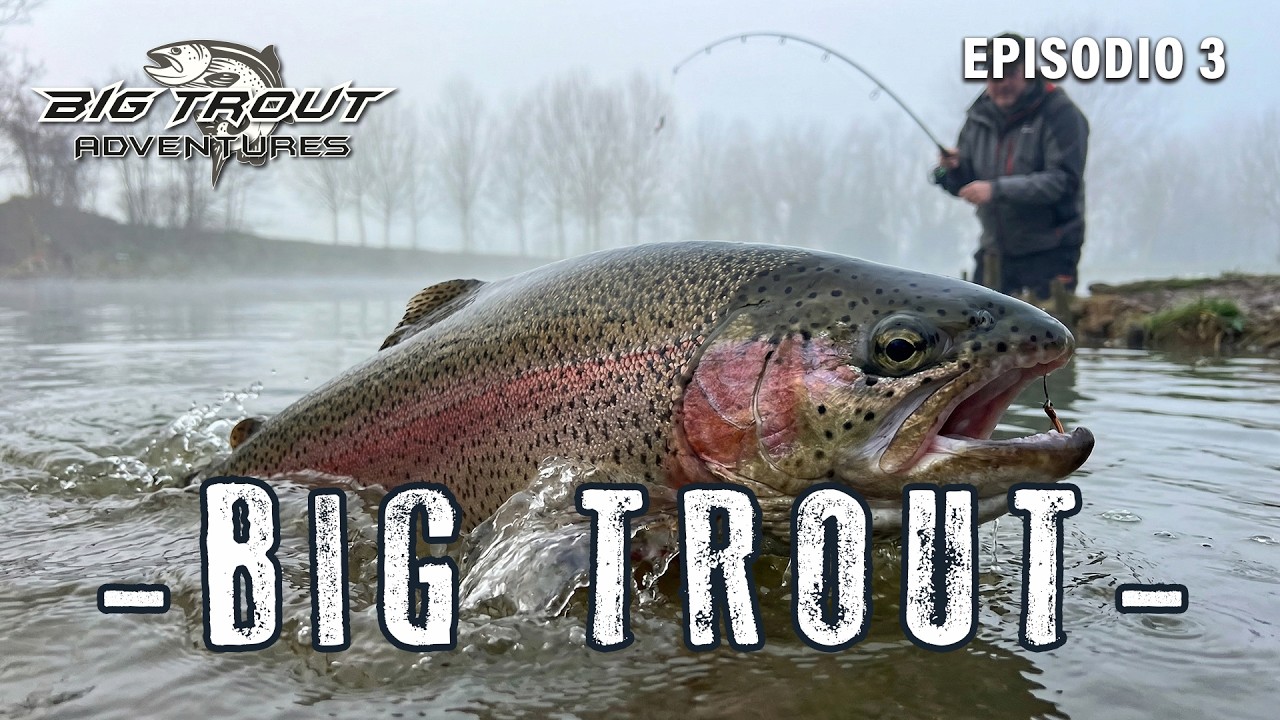 Come catturare le BIG TROUT apatiche, avventura nella nebbia! in collaborazione con @Rapture Lures​