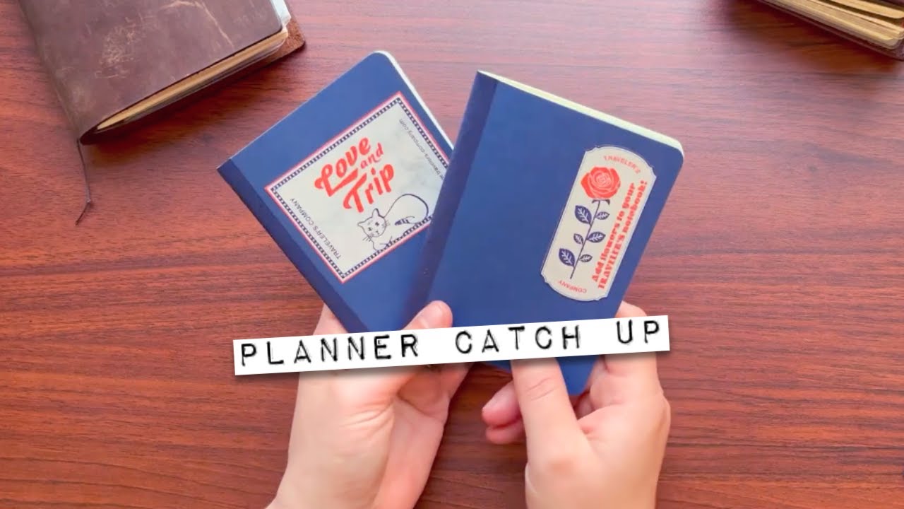 A Planner Catch Up - Sticker Storage update - Love and Trip