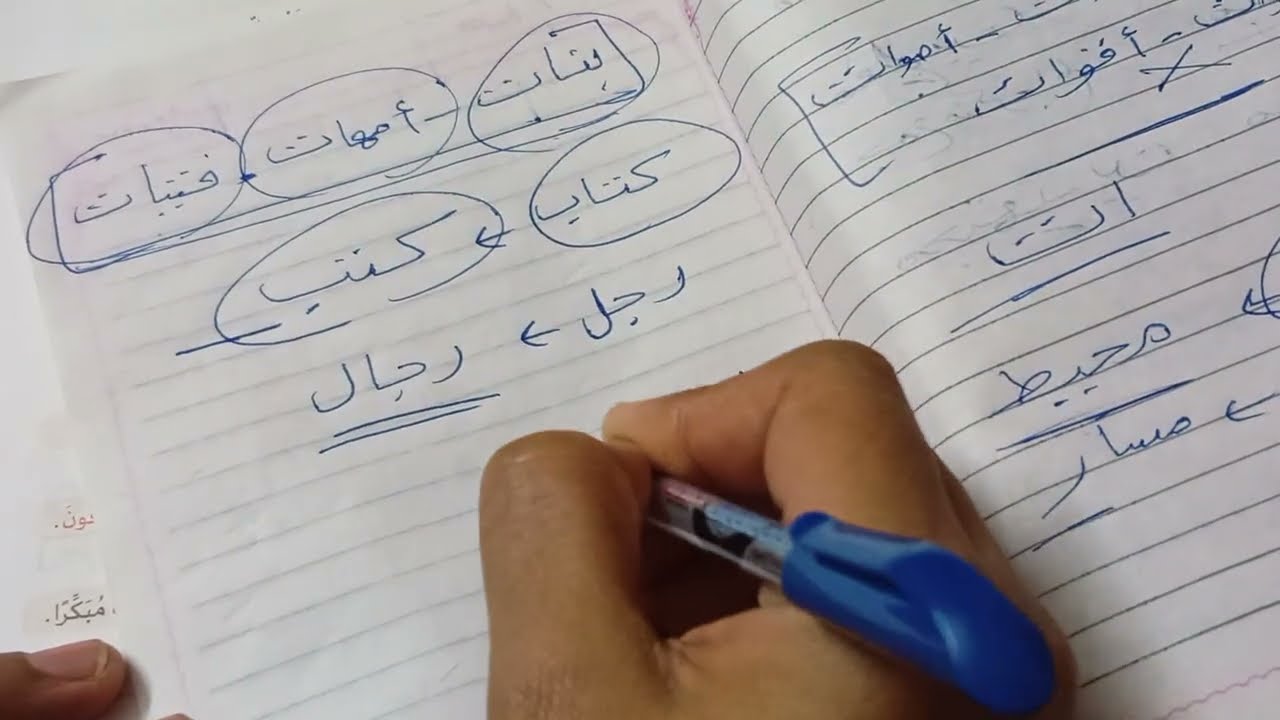 تالتة ابتدائي جمع التكسير ومراجعة علي الجمع بأنواعه كتاب الاضواء
